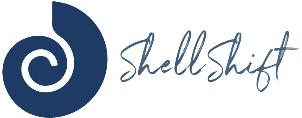 Shellshift students learning in a modern classroom